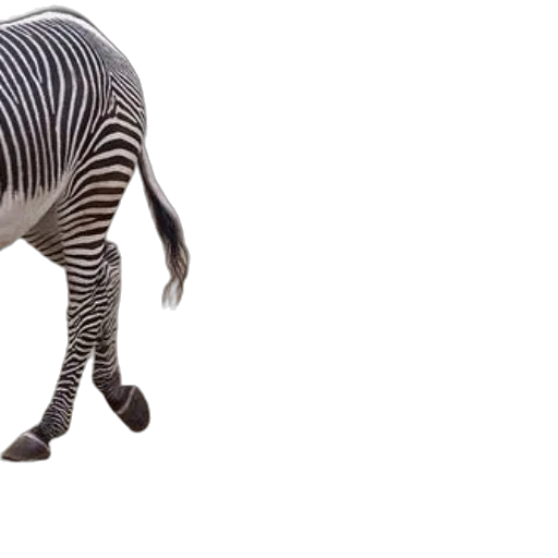 animal, creature, hair, robot transparent PNG cut-out
