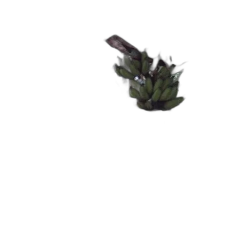 weapon, staff, tree, food transparent PNG cut-out