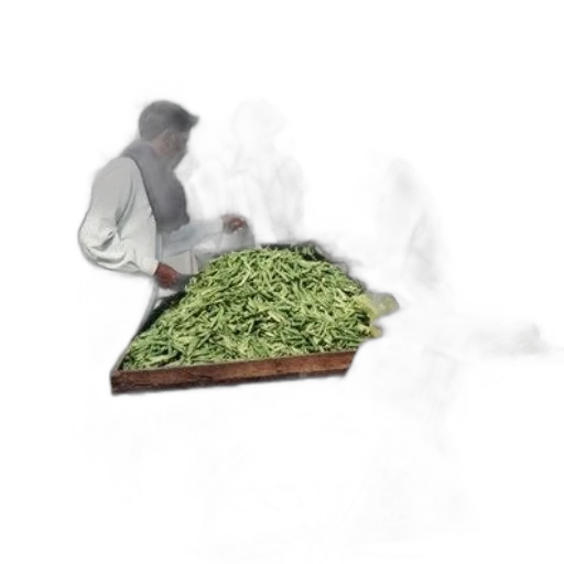 food, jacket, creature, staff transparent PNG cut-out