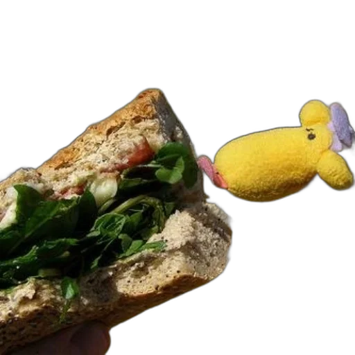 food, animal, creature, dragon transparent PNG cut-out