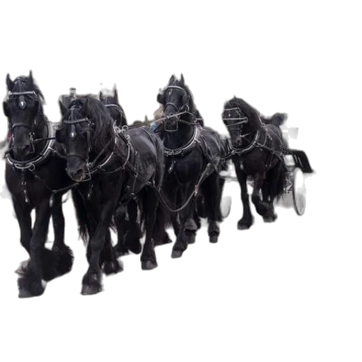 crown, animal, car, staff transparent PNG cut-out