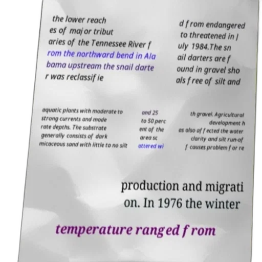 image, text, excerpt, discussing transparent PNG cut-out