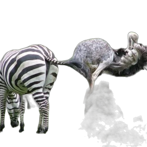 animal, creature, concept art, photorealistic transparent PNG cut-out