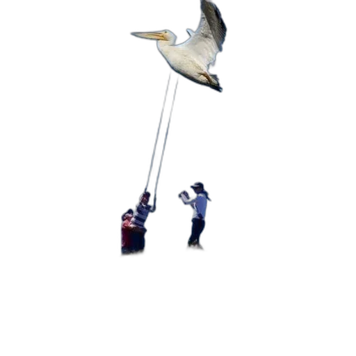 umbrella, staff, weapon, animal transparent PNG cut-out