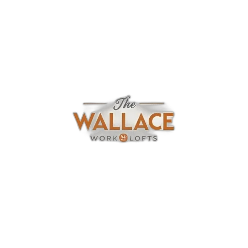 image, features, stylized, logo transparent PNG cut-out