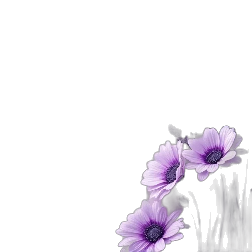 flower, dress, crown, bottle transparent PNG cut-out