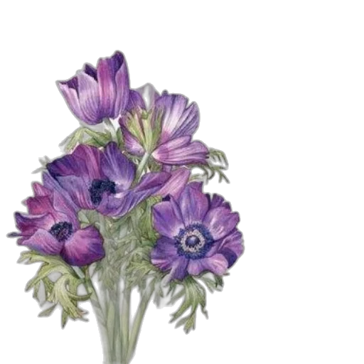 flower, crown, jewelry, dress transparent PNG cut-out
