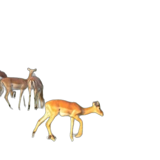 animal, creature, concept art, 3d render transparent PNG cut-out