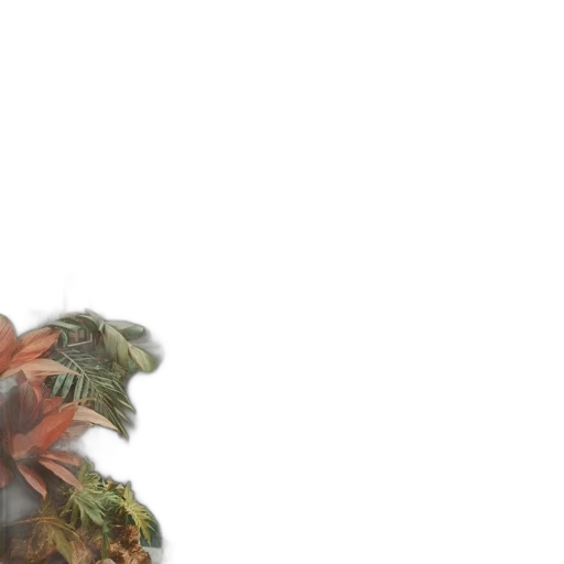 dragon, creature, mask, face transparent PNG cut-out