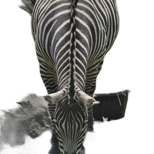 animal, staff, weapon, jewelry transparent PNG cut-out