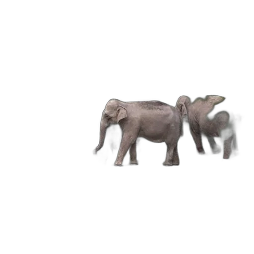 animal, creature, 3d render, concept art transparent PNG cut-out