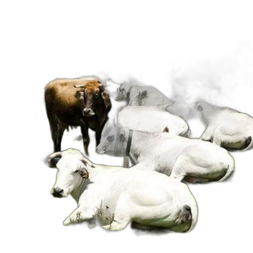 animal, mask, creature, concept art transparent PNG cut-out