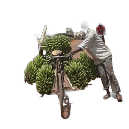 food, jewelry, weapon, crown transparent PNG cut-out