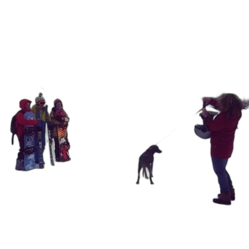 animal, robot, staff, creature transparent PNG cut-out