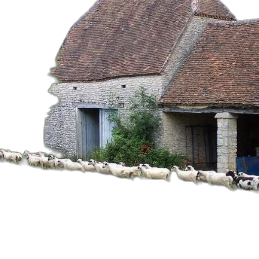 building, animal, car, sword transparent PNG cut-out