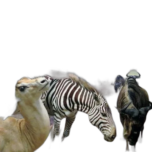 animal, creature, 3d render, concept art transparent PNG cut-out
