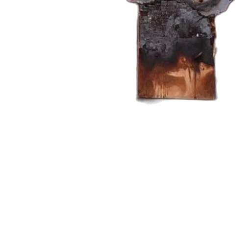 staff, animal, dragon, crown transparent PNG cut-out