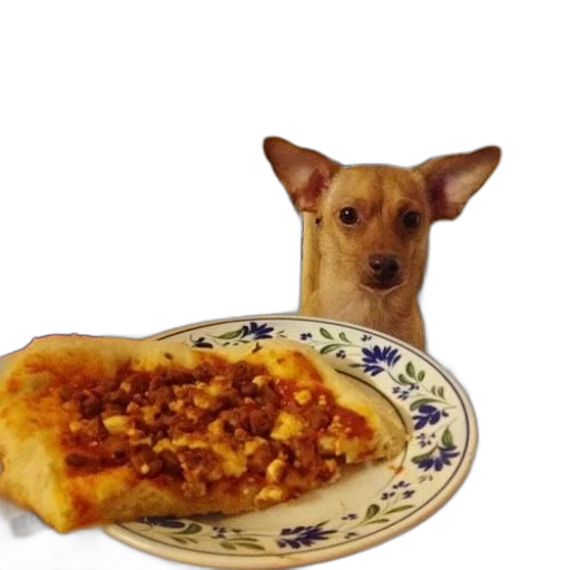 food, animal, creature, weapon transparent PNG cut-out
