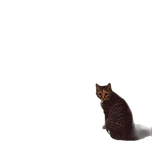 animal, creature, staff, robot transparent PNG cut-out