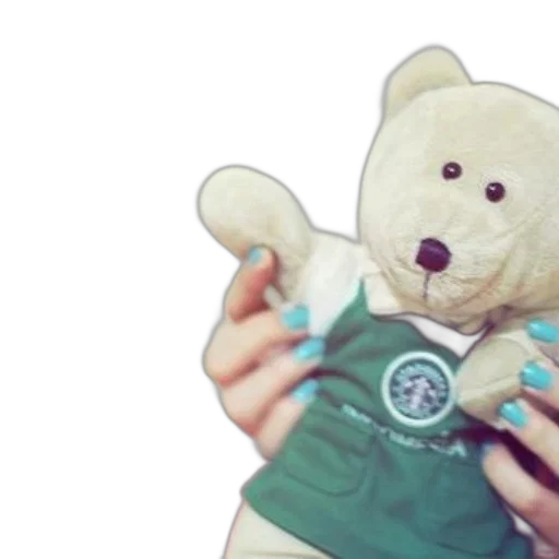 person, holds, stuffed, bear transparent PNG cut-out