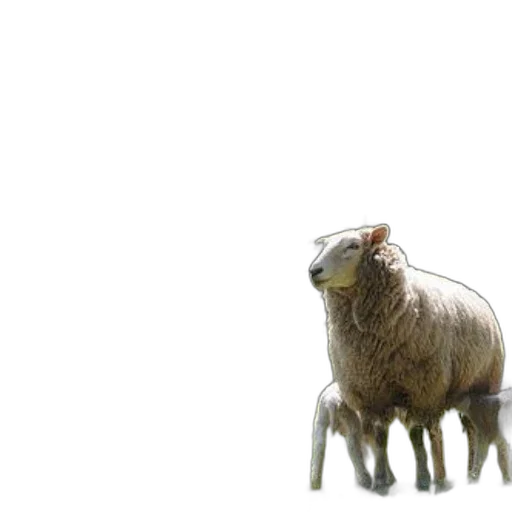 animal, creature, 3d render, photorealistic transparent PNG cut-out