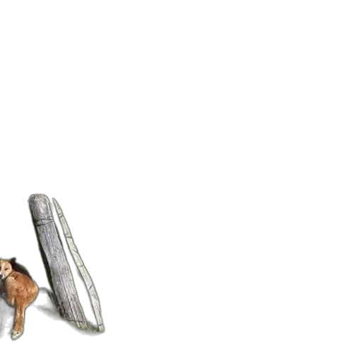 shoes, jewelry, weapon, sword transparent PNG cut-out