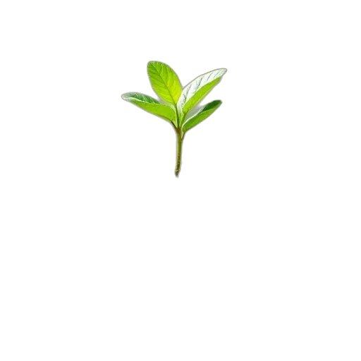 tree, flower, staff, weapon transparent PNG cut-out