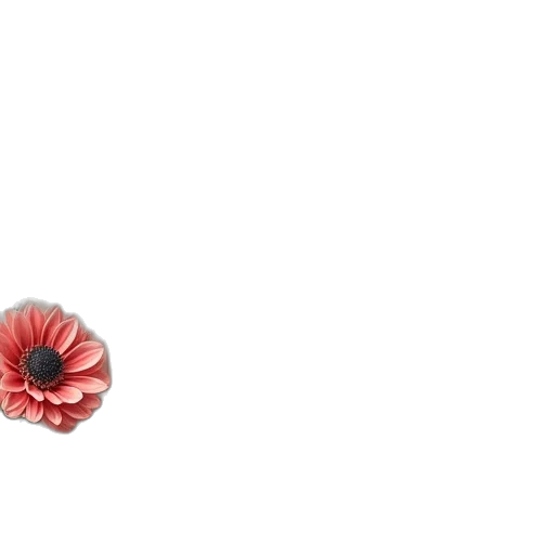 flower, dress, jewelry, weapon transparent PNG cut-out