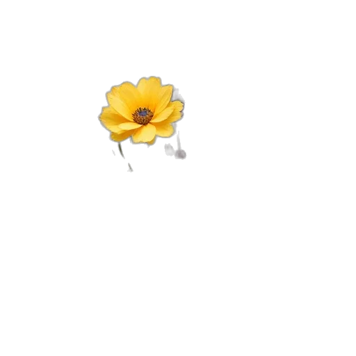flower, jewelry, crown, weapon transparent PNG cut-out