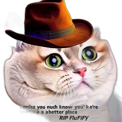 hat, animal, staff, face transparent PNG cut-out