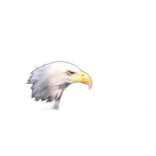 animal, weapon, creature, hair transparent PNG cut-out