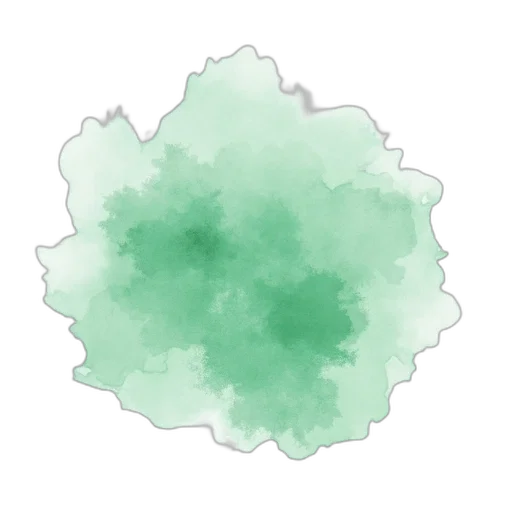 crown, flower, hair, jewelry transparent PNG cut-out