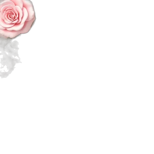 flower, crown, dress, jewelry transparent PNG cut-out