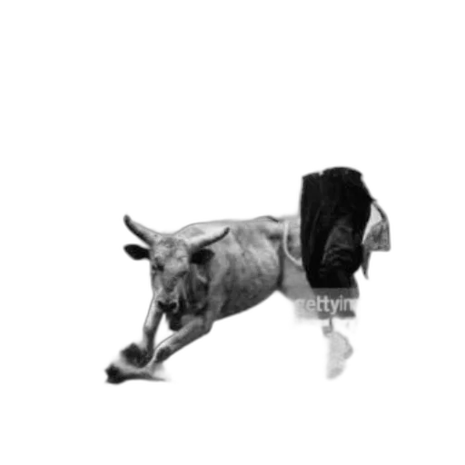 animal, staff, creature, photorealistic transparent PNG cut-out