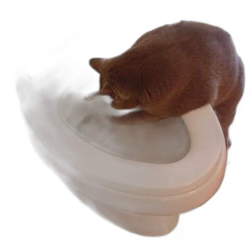 food, animal, creature, bottle transparent PNG cut-out