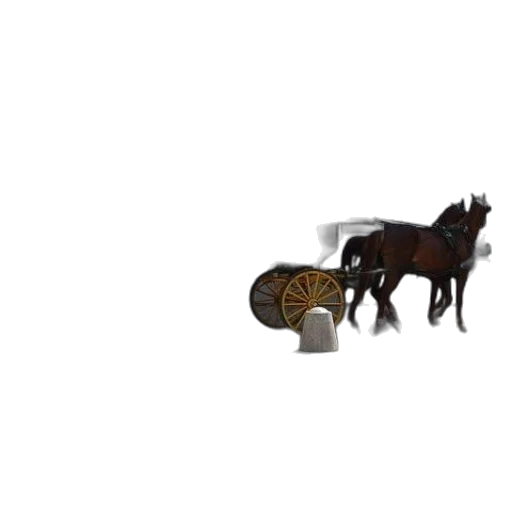 animal, furniture, car, robot transparent PNG cut-out