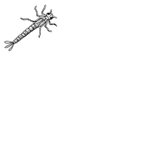 staff, sword, weapon, dragon transparent PNG cut-out