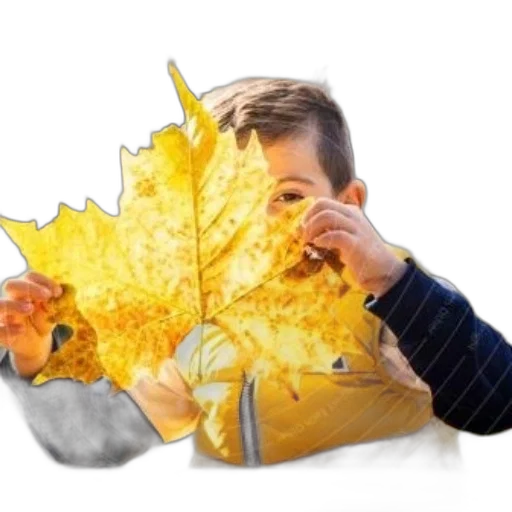 jacket, food, umbrella, mask transparent PNG cut-out