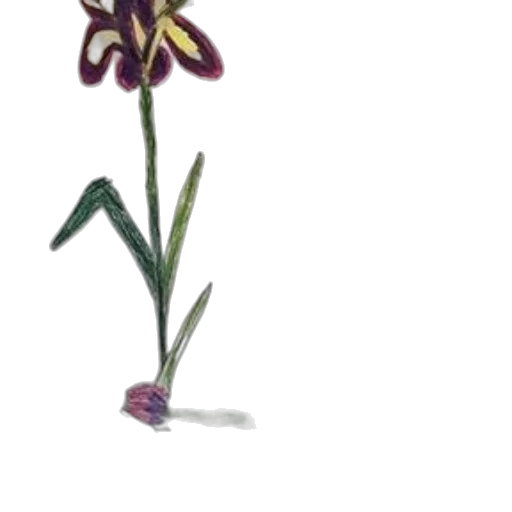 flower, staff, crown, weapon transparent PNG cut-out