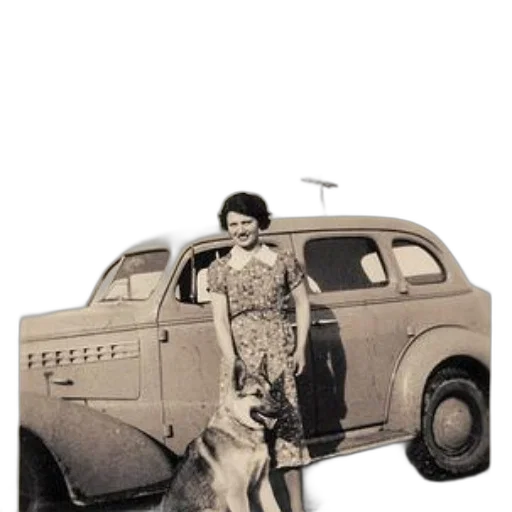 car, animal, dress, staff transparent PNG cut-out
