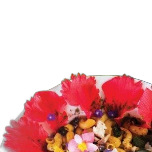 crown, flower, jewelry, food transparent PNG cut-out