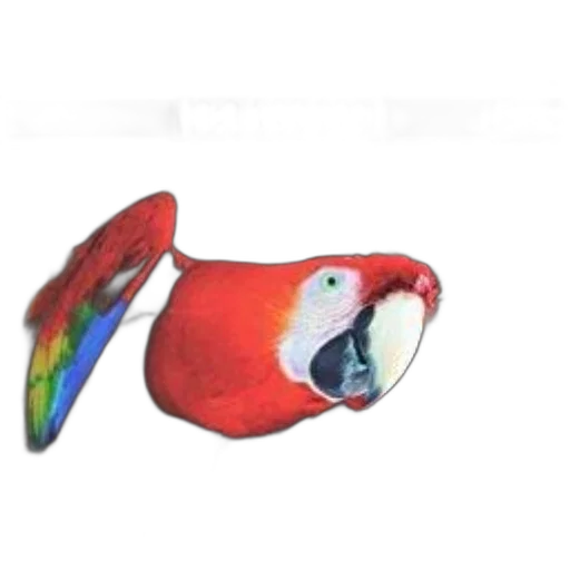 animal, mask, creature, staff transparent PNG cut-out