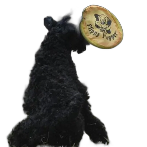 staff, animal, food, jewelry transparent PNG cut-out