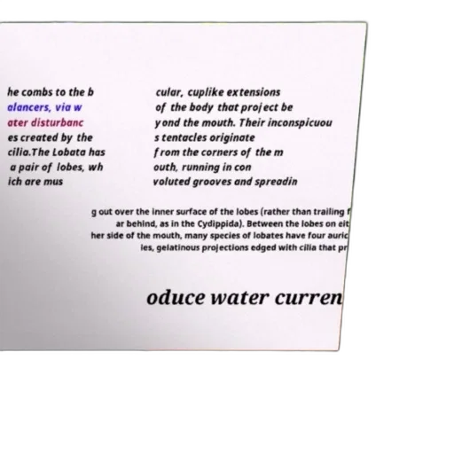 bottle, underwater, outer space, detailed transparent PNG cut-out
