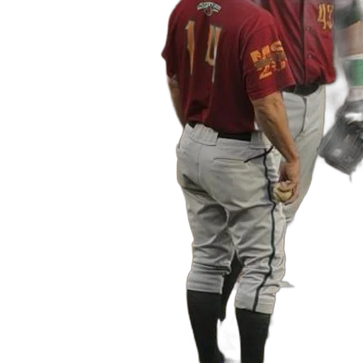staff, animal, creature, baseball transparent PNG cut-out