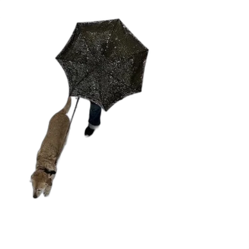 umbrella, staff, weapon, sword transparent PNG cut-out
