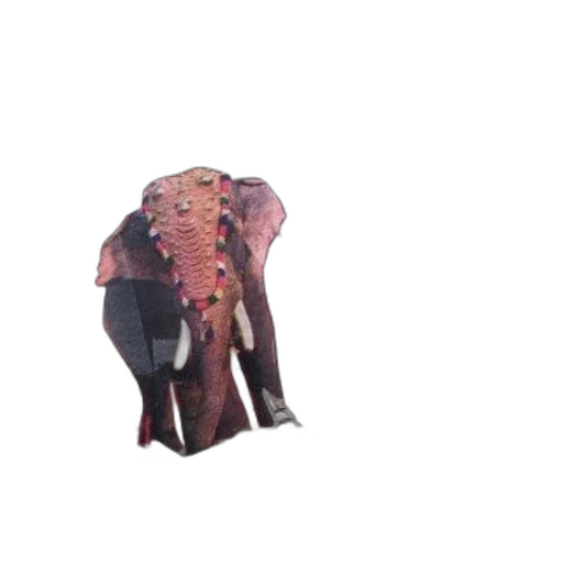 animal, umbrella, creature, jacket transparent PNG cut-out