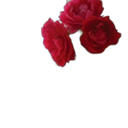 flower, crown, jewelry, staff transparent PNG cut-out