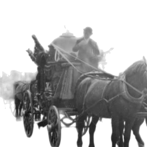 car, staff, animal, weapon transparent PNG cut-out
