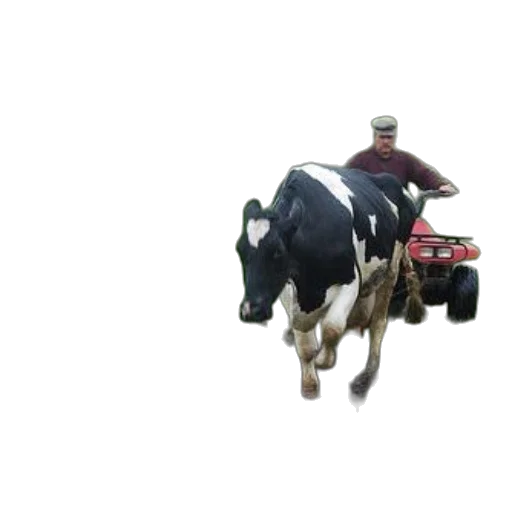 animal, car, robot, 3d render transparent PNG cut-out
